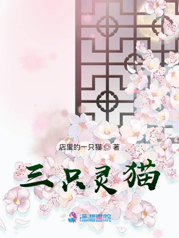 三只灵猫三只灵猫